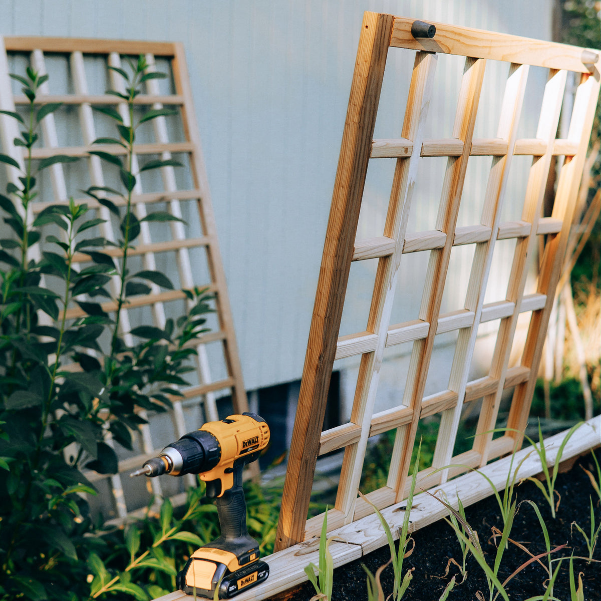 Natural Cedar Wall Mounted Trellises