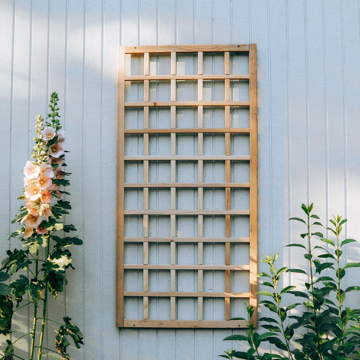 Natural Cedar Wall Mounted Trellises