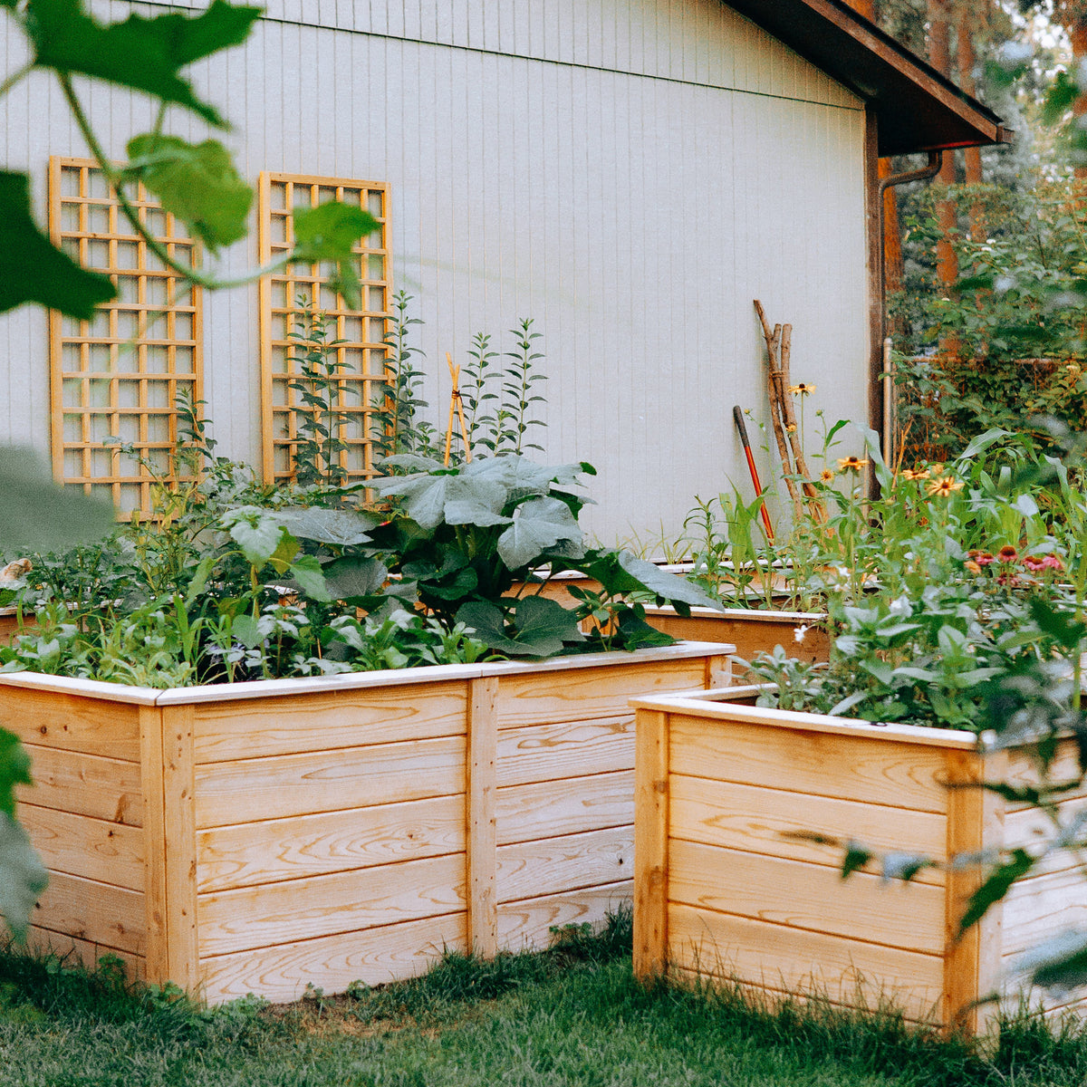 Natural Cedar Raised Garden Beds