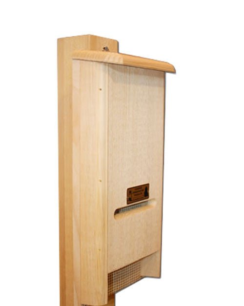 Wooden BATchelor Pad