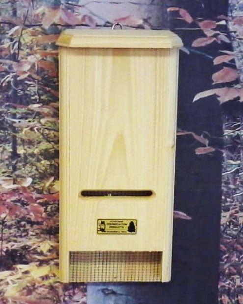 Wooden BATchelor Pad