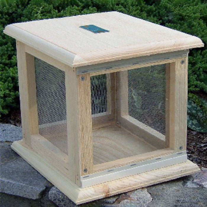 Wooden Butterfly Vivarium Display
