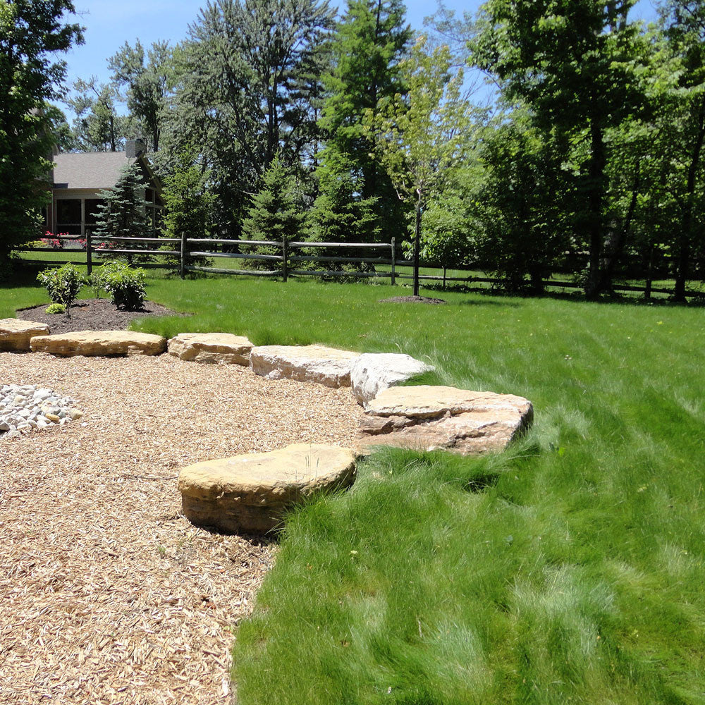 Wildflower Farm's Eco-Lawn Grass Seed - 5 lb